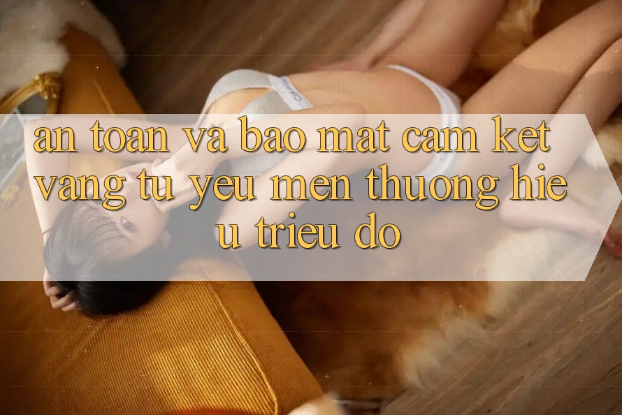 An Toàn Và Bảo Mật: Cam Kết Vàng Từ Yêu mến thương Hiệu Triệu Đô An Toàn Và Bảo Mật: Cam Kết Vàng Từ Yêu mến thương Hiệu Triệu Đô