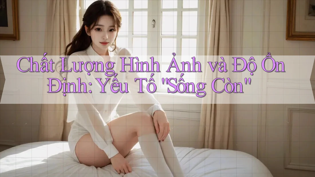 Chất Lượng Hình Ảnh và Độ Ổn Định: Yếu Tố “Sống Còn” Chất Lượng Hình Ảnh và Độ Ổn Định: Yếu Tố “Sống Còn”