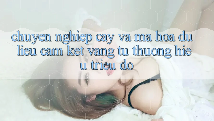 Chuyên nghiệp cậy Và Mã hóa dữ liệu: Cam Kết Vàng Từ Thương Hiệu Triệu Đô
